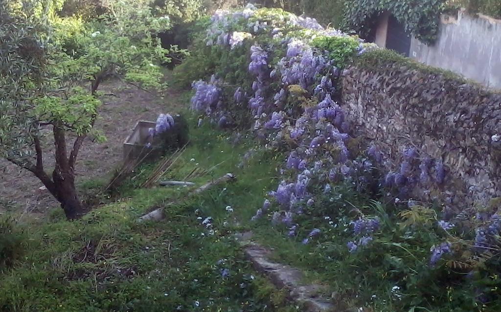 B&B Costa Lupara - Villa Murchio Alassio Kültér fotó